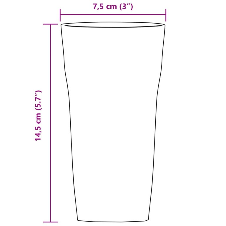 Čaše za pivo 6 kom 310 ml