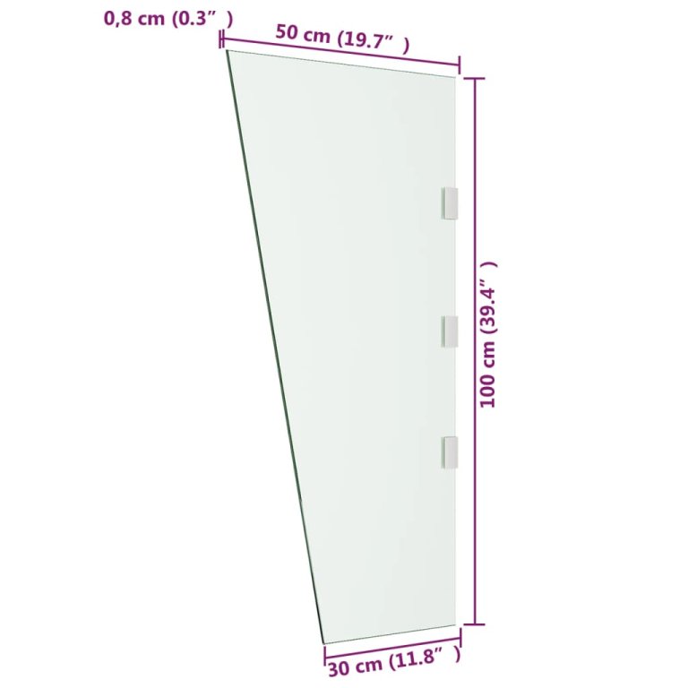 Bočna ploča za nadstrešnicu vrata prozirna 50 x 100 cm staklena